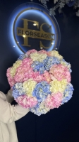 Монобукет из Гортензий Florseason