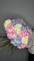 Монобукет из Гортензий Florseason