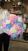 Монобукет из Гортензий Florseason