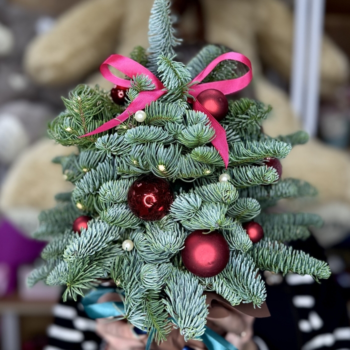 Новогодняя Ёлочка Florseason