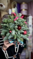 Новогодняя Ёлочка Florseason