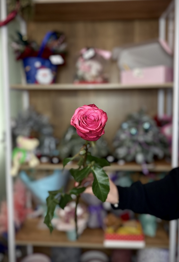 Роза Эквадор 70см Florseason