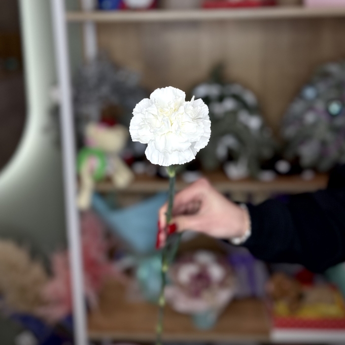 Гвоздика белая Florseason