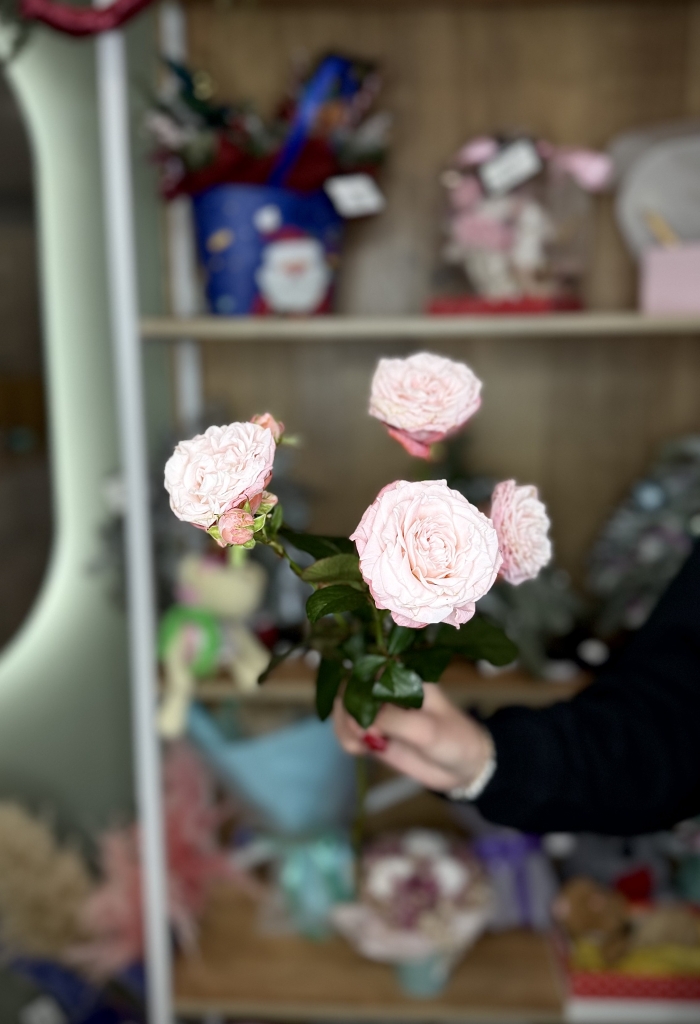 Кустовая роза 50см нежно-розовая Florseason