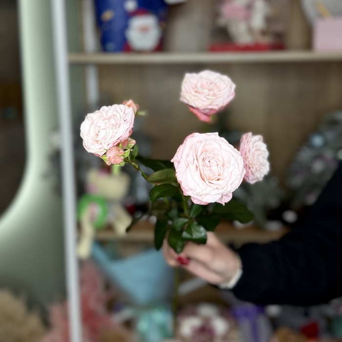 Кустовая роза 50см нежно-розовая Florseason