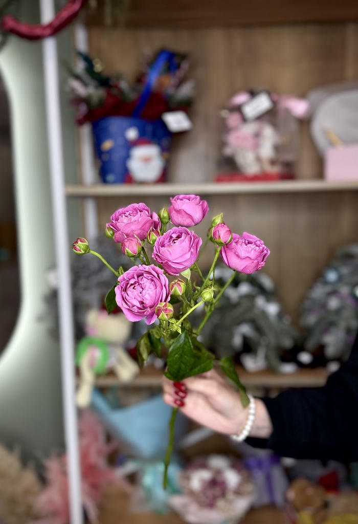 Кустовая роза 50см фиолетовая Florseason