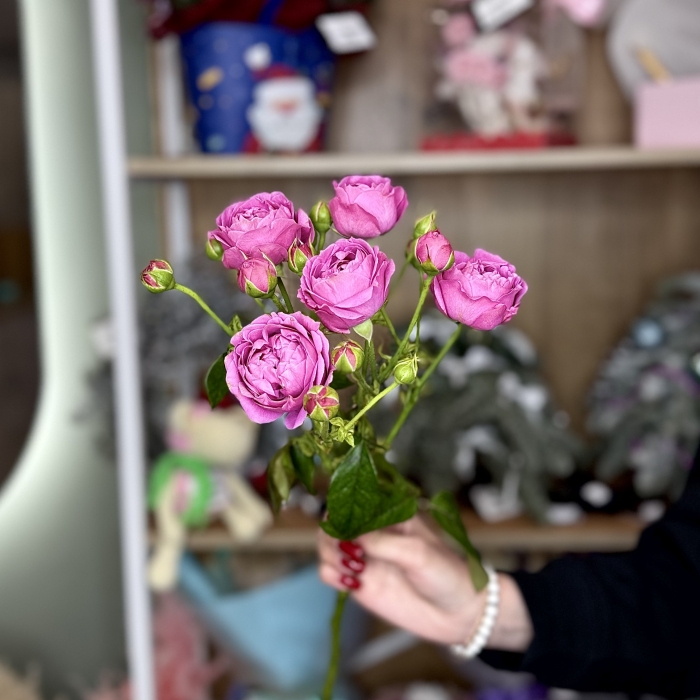 Кустовая роза 50см фиолетовая Florseason