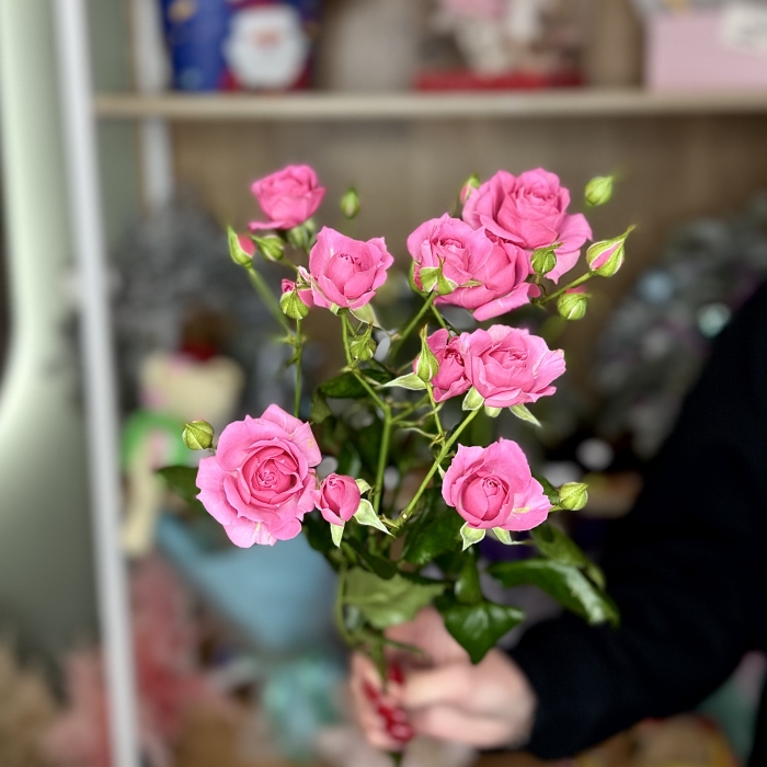 Кустовая роза 70см розовая Florseason