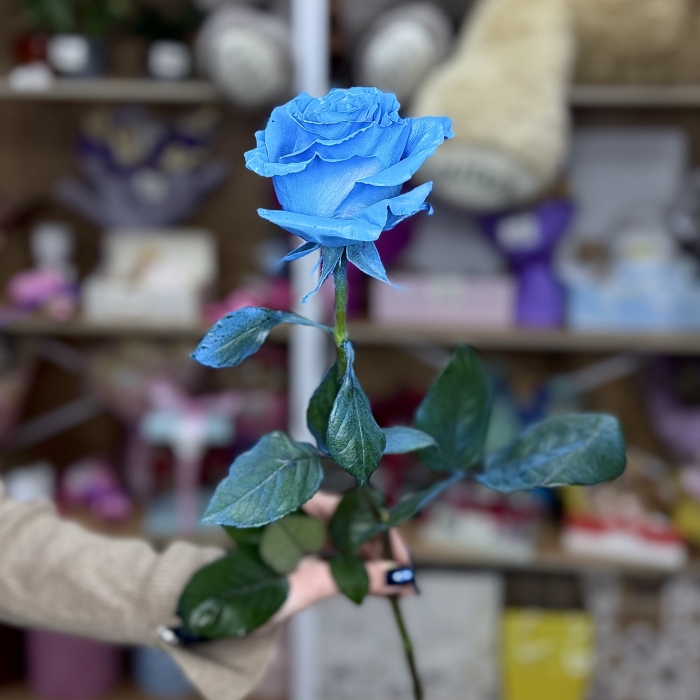 Роза Эксклюзив 60см Florseason