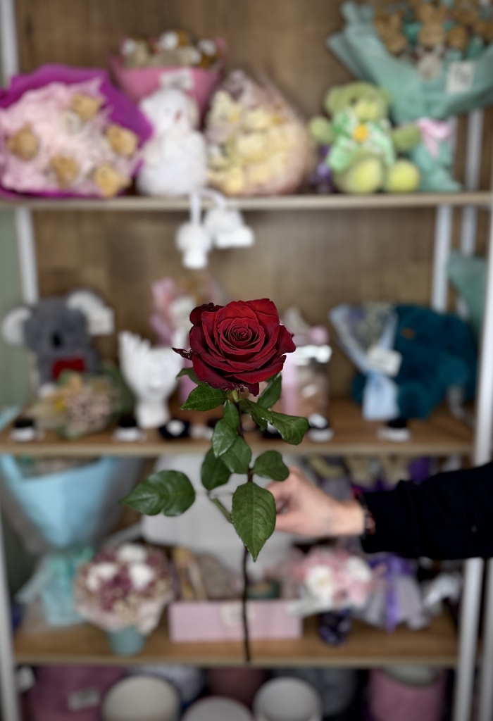 Роза Эквадор 80см Florseason