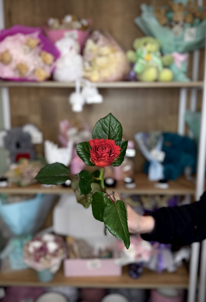 Роза 50см Florseason